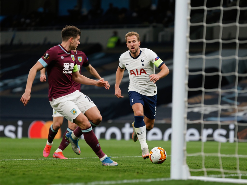 作为国内领 作为国内领